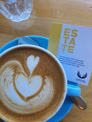 Top Notch Coffee Shop