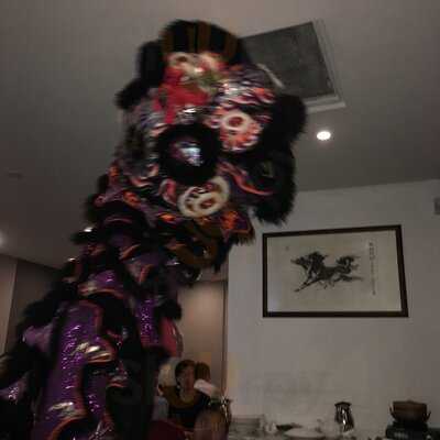 Tea House On Burke Rd Camberwell