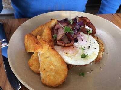 Harvest Blend Specialty Coffee