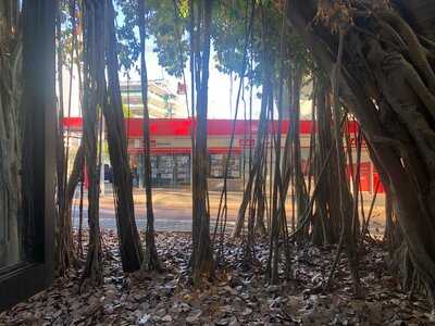 Rays Patisserie And Cafe