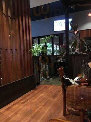 Hog’s Breath Casuarina