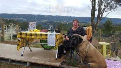 Kurrajong Bark Park And Cafe Bcm