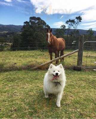 Kurrajong Bark Park And Cafe Bcm