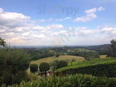 Loxley On Bellbird Hill