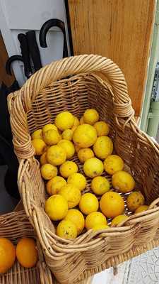 The Newtown Provedore