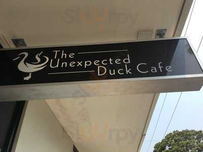 The Unexpected Duck