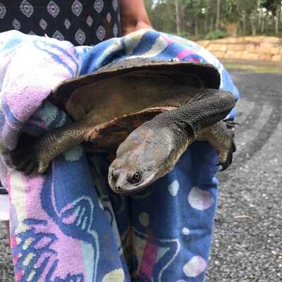 The Steakman Grill And Bar