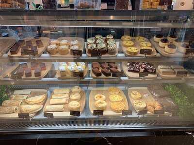 Theobroma
