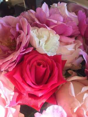 Ashmore On Bridge Street