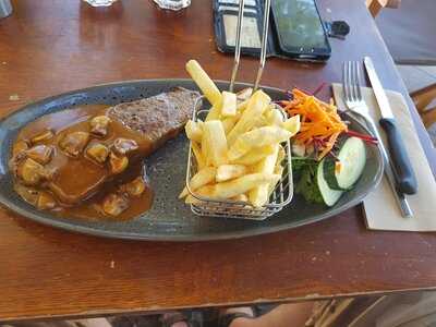 Steel Tree At The Foreshore