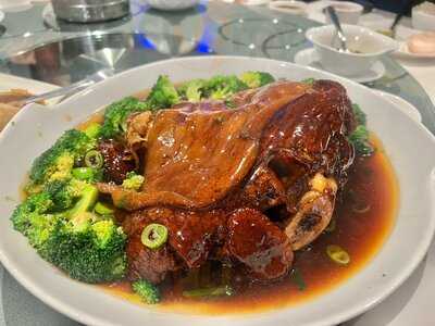 Aquarium Seafood Chinese Resturaunt