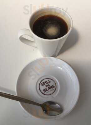 Spill The Beans At Palm Beach Jetty