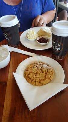Spill The Beans At Palm Beach Jetty