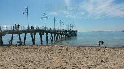 Spill The Beans At Palm Beach Jetty