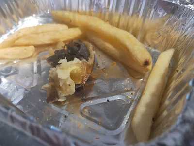 Red Rooster Fountain Gate