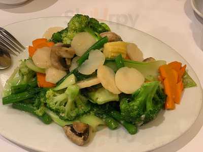 Jade Stream Chinese Restaurant