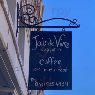 Joie De Vivre The Joy Of Life