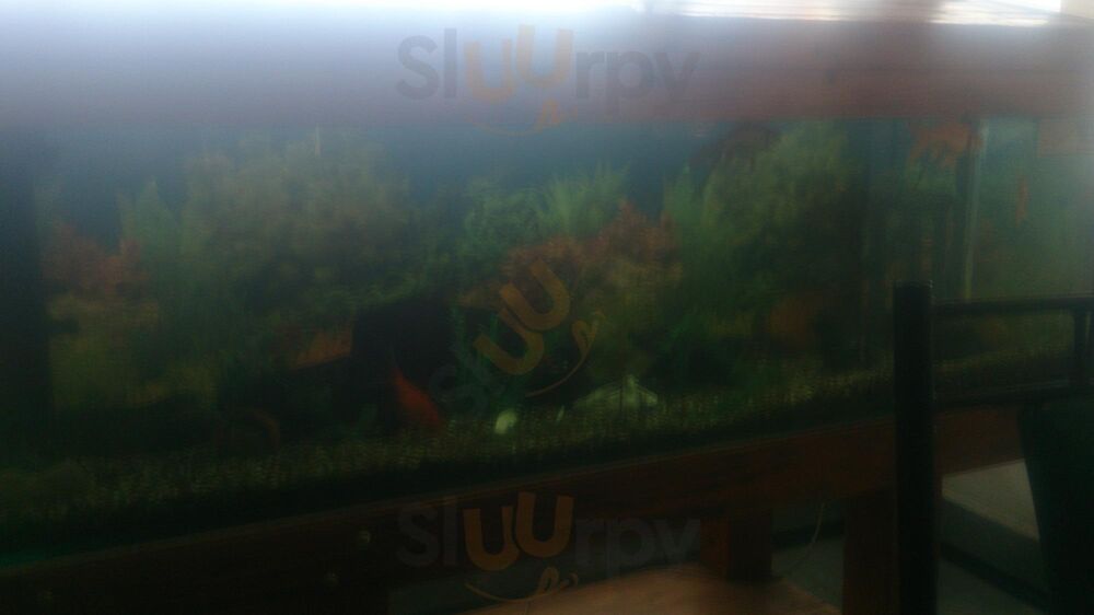 Dalton Village Fish & Chips