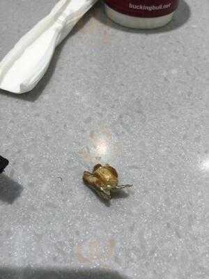 Bucking Bull Rockingham