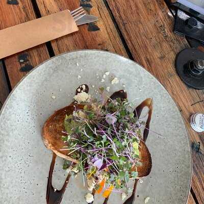 Six Sisters & A Pigeon