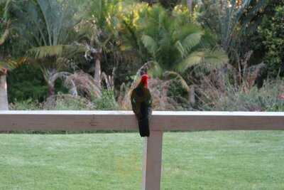 Urban Espresso And Wine