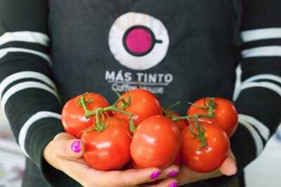 Mas Tinto