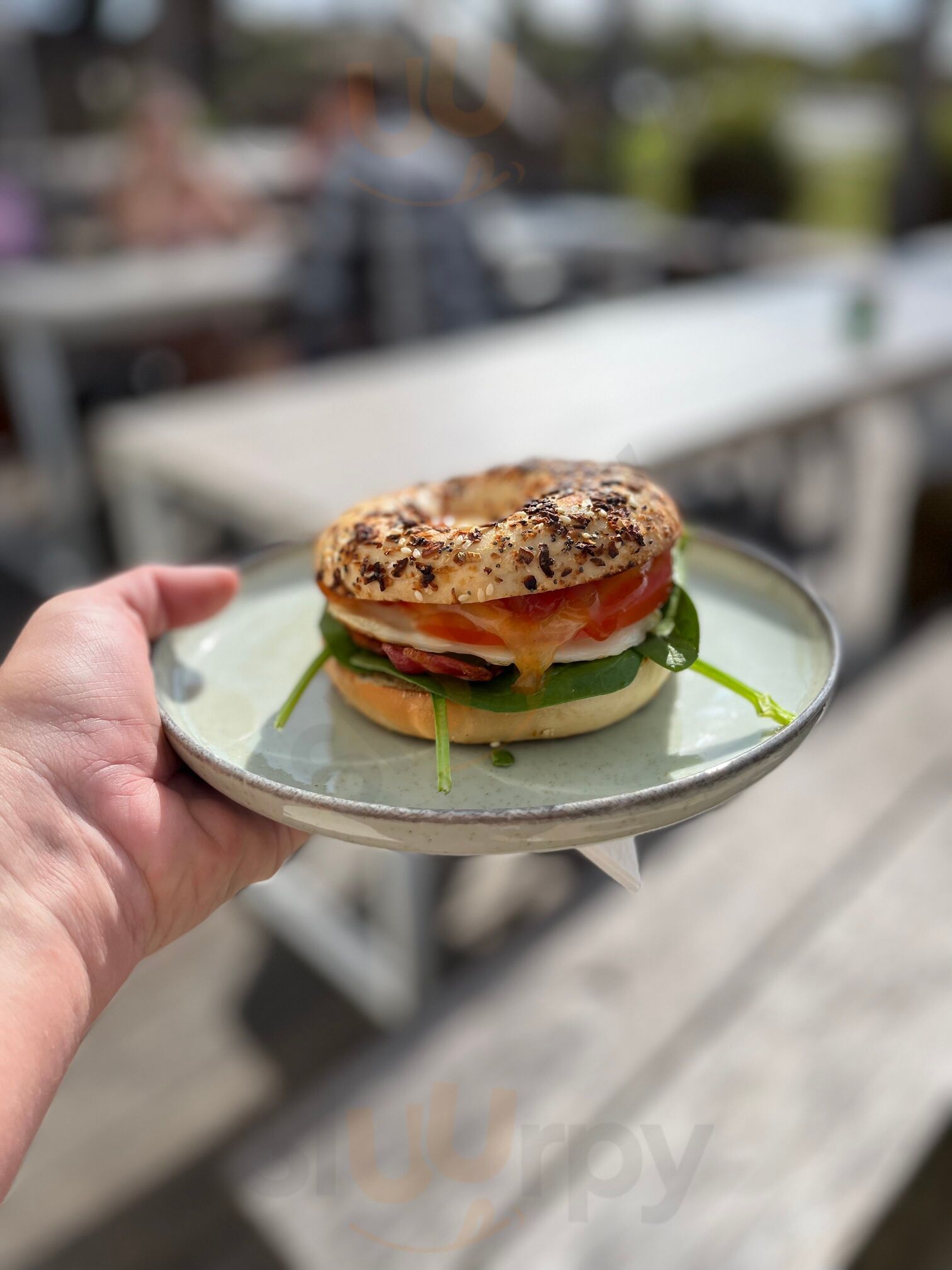 Grounded Espresso Bar