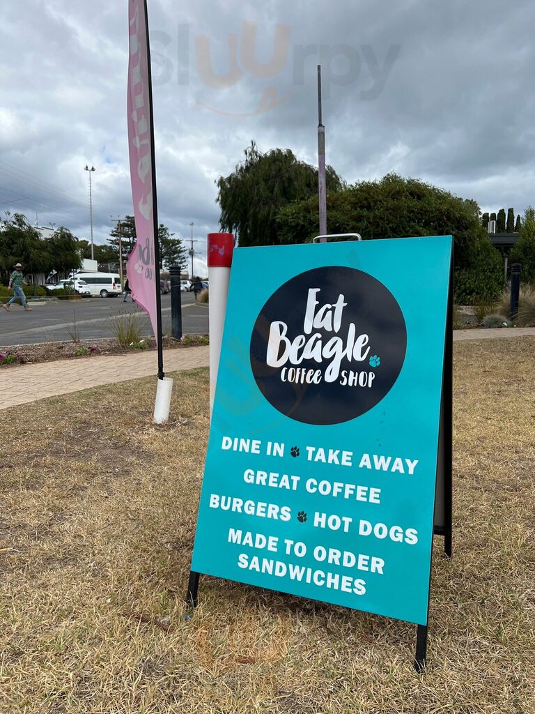 Fat Beagle Coffee Shop