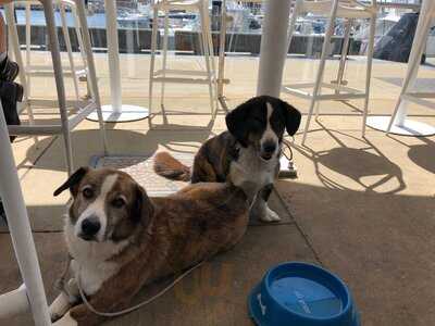 The Wickham Boatshed