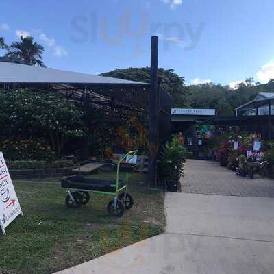 Vines Restaurant At Limberlost Nursery