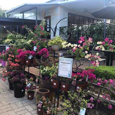 Vines Restaurant At Limberlost Nursery