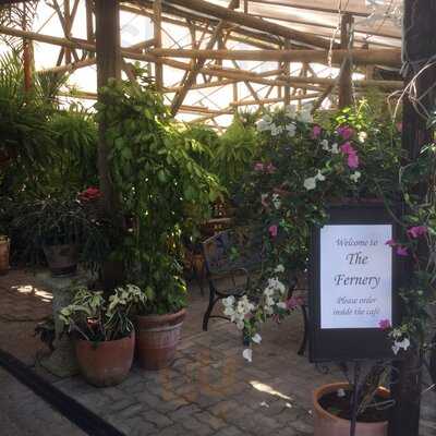 Vines Restaurant At Limberlost Nursery