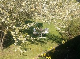 Old Hartley Post Office Cafe