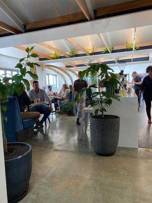 Tatler Lane By Sweetbrew