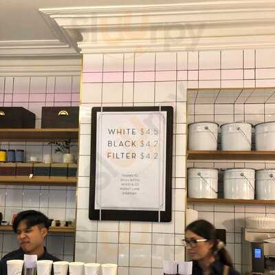 Patricia Coffee Brewers