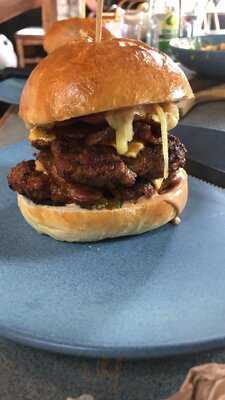 Williamsburg Tamworth