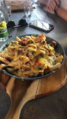 Williamsburg Tamworth