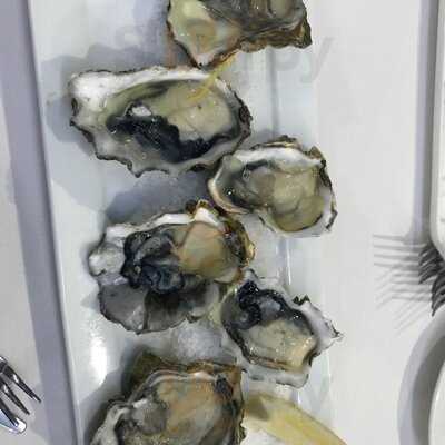 Oceans Bar & Restaurant