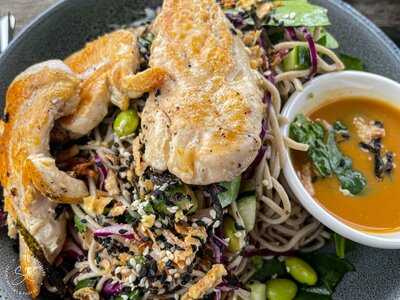 The Saltydog Cafe Torquay