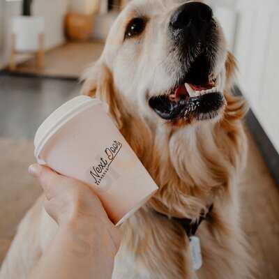 Next Door Espresso