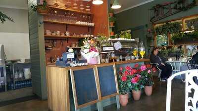 The Garden Shed Tamworth