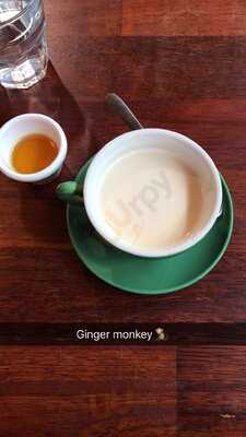 Ginger Monkey