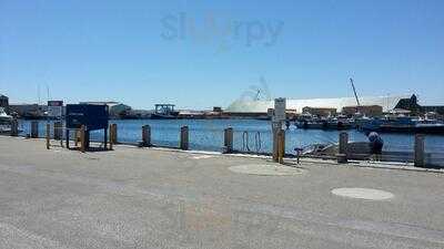 Barnacles On The Wharf