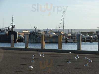 Barnacles On The Wharf