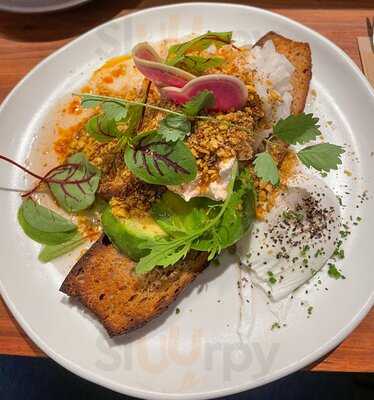 Single O Surry Hills