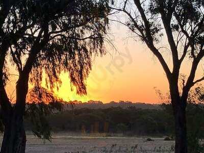 Lake Clifton Tavern And Motel