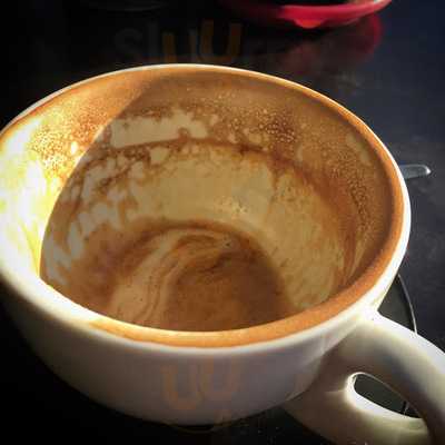 The Bean & The Barista