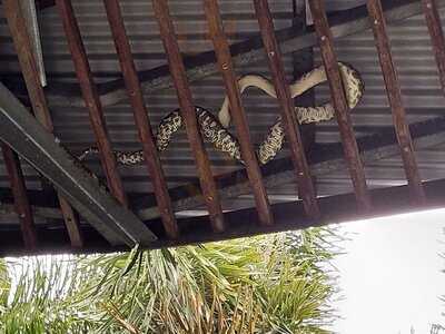 Botanic Gardens Cafe