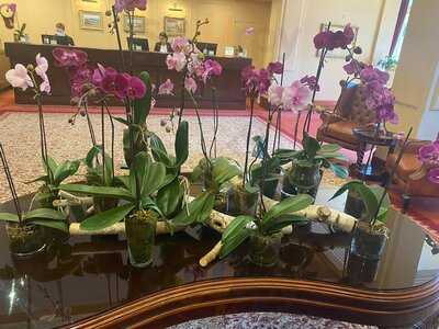 Afternoon Tea At The Hotel Windsor