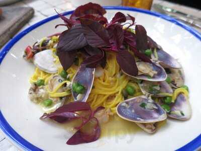 The Grounds Of Alexandria